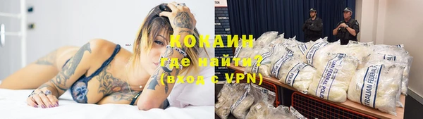 индика Абинск