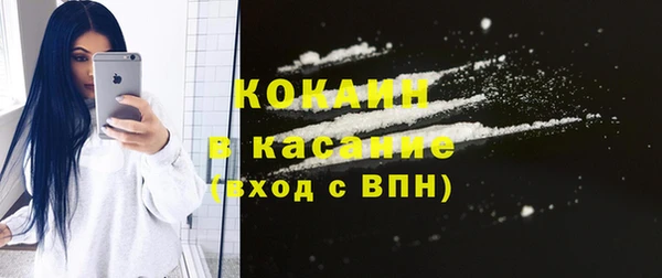 индика Абинск