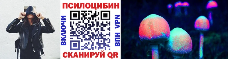 Псилоцибиновые грибы Psilocybe  Касли 